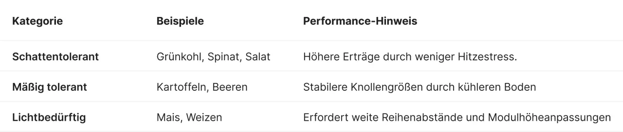 Kategorisierung von Nutzpflanzen für Agri-PV: Schattentolerante Kulturen wie Spinat und Salat mit höheren Erträgen, mäßig tolerante Kulturen wie Kartoffeln und Beeren mit stabilen Größen, sowie lichtbedürftige Kulturen wie Mais und Weizen, die weite Reihenabstände erfordern.