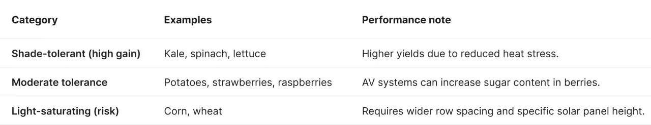 Agrivoltaic crop performance table categorized by light tolerance: Shade-tolerant crops like kale and spinach show higher yields and biomass under 50% shading; moderately tolerant crops like potatoes and berries benefit from cooler soil and higher sugar content; and light-saturating crops like corn and wheat require wider panel spacing to prevent photosynthetic saturation.