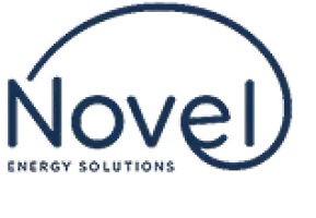 Novel