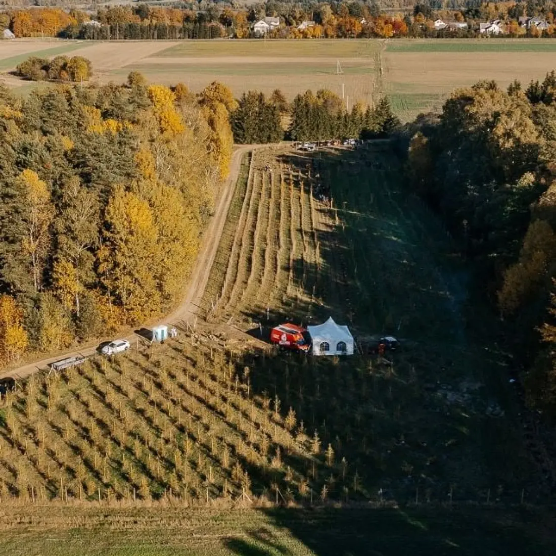 Aerial view of a newly planted forest area supported by PVcase