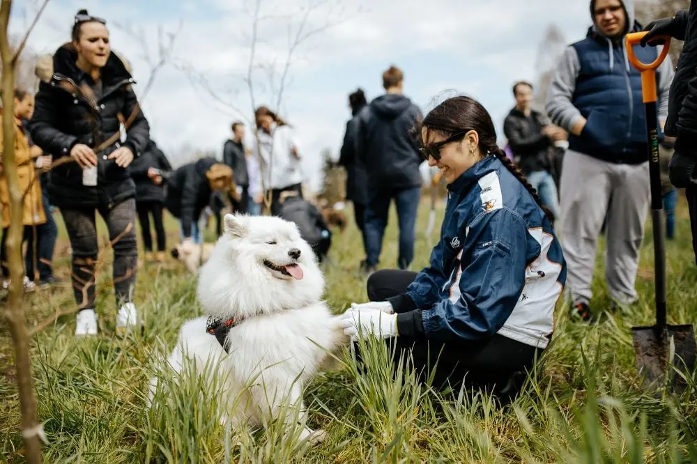 PVcase team members planting trees during a reforestation activity